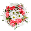 This beautifully arranged bouquet echoes the fresh and tranquil spirit of Hampton Hill, bringing together classic white daisies, plush coral-pink carnations, ethereal sprigs of baby's breath, and an elegant variety of local greenery. From an overhead perspective, the pure white background amplifies the bouquet's luminous palette, each bloom gleaming with the soft light often seen along Hampton Hill's tree-lined lanes. The daisies' golden-green centers provide anchors of brightness amid the pillowy ruffles of carnations, while fine clouds of gypsophila and subtle hints of alstroemeria buds grace the design with peppy optimism and texture. Eucalyptus leaves contribute a cool, soothing undertone-fresh as the air after a summertime rainfall in Bushy Park-layered with deep green sprigs that underscore the bouquet's refined structure. The overall effect is one of serenity and quiet exuberance, suited for celebrating life's happiest moments or extending thoughtful wishes to loved ones in the Hampton Hill area. Every element in this lush arrangement is chosen with care by local florists, ensuring its lasting beauty and its power to infuse homes, offices, or celebrations with a gentle radiance and sense of belonging.